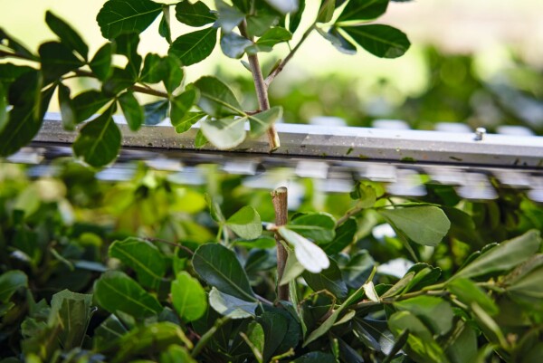 Храсторез акумулаторен STIHL HSA 40 с две батерии и зарядно, 10.8 V, 2.6 Ah