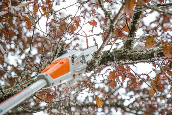 Акумулаторна кастрачка STIHL HTA 50 без батерия и зарядно, 36 V, 25 см